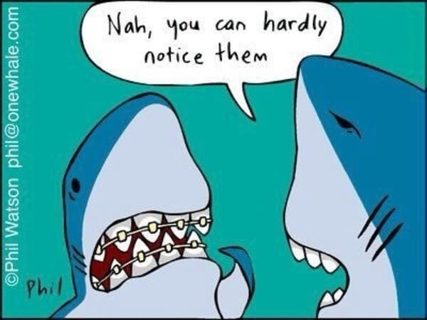 A cartoon shark with braces.