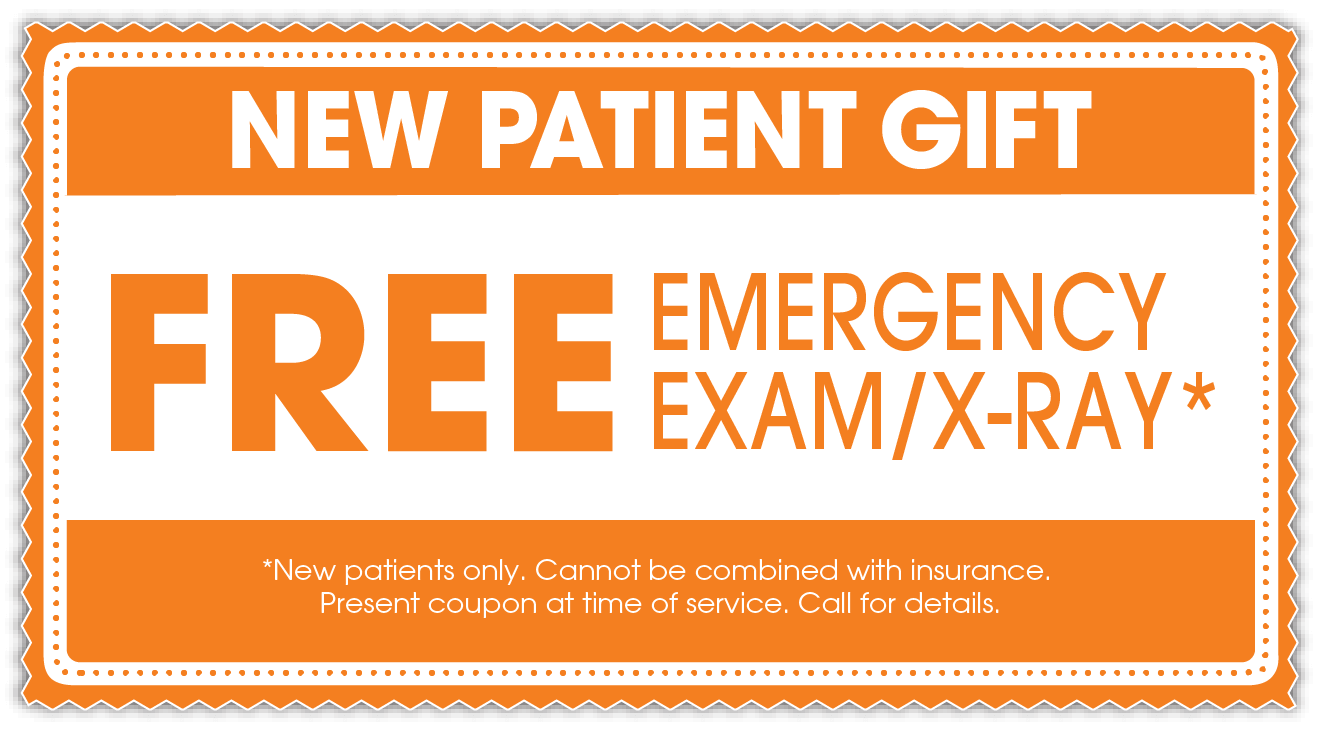 Patience brewster discount coupons