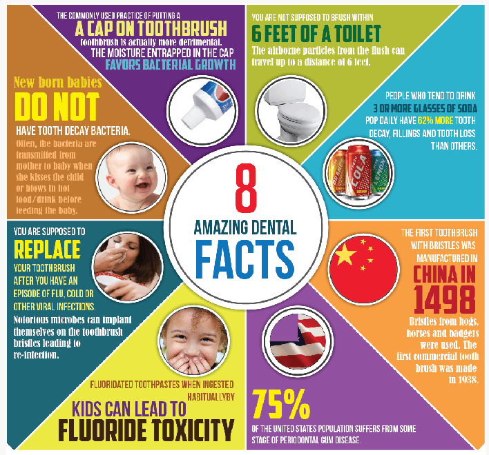 An image explaining eight different dental facts
